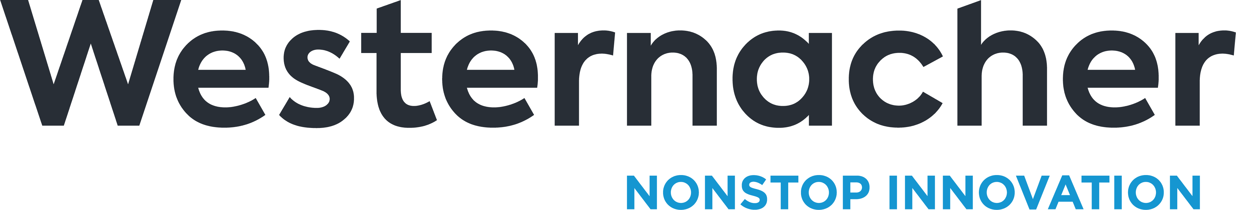 Westernacher Business Management Consulting GmbH