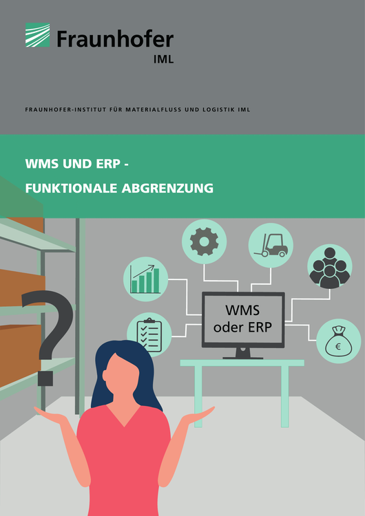 WMS and ERP – Functional Demarcation